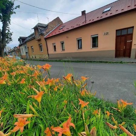 Kis Rigó vendégház Salgotarjan Exterior foto