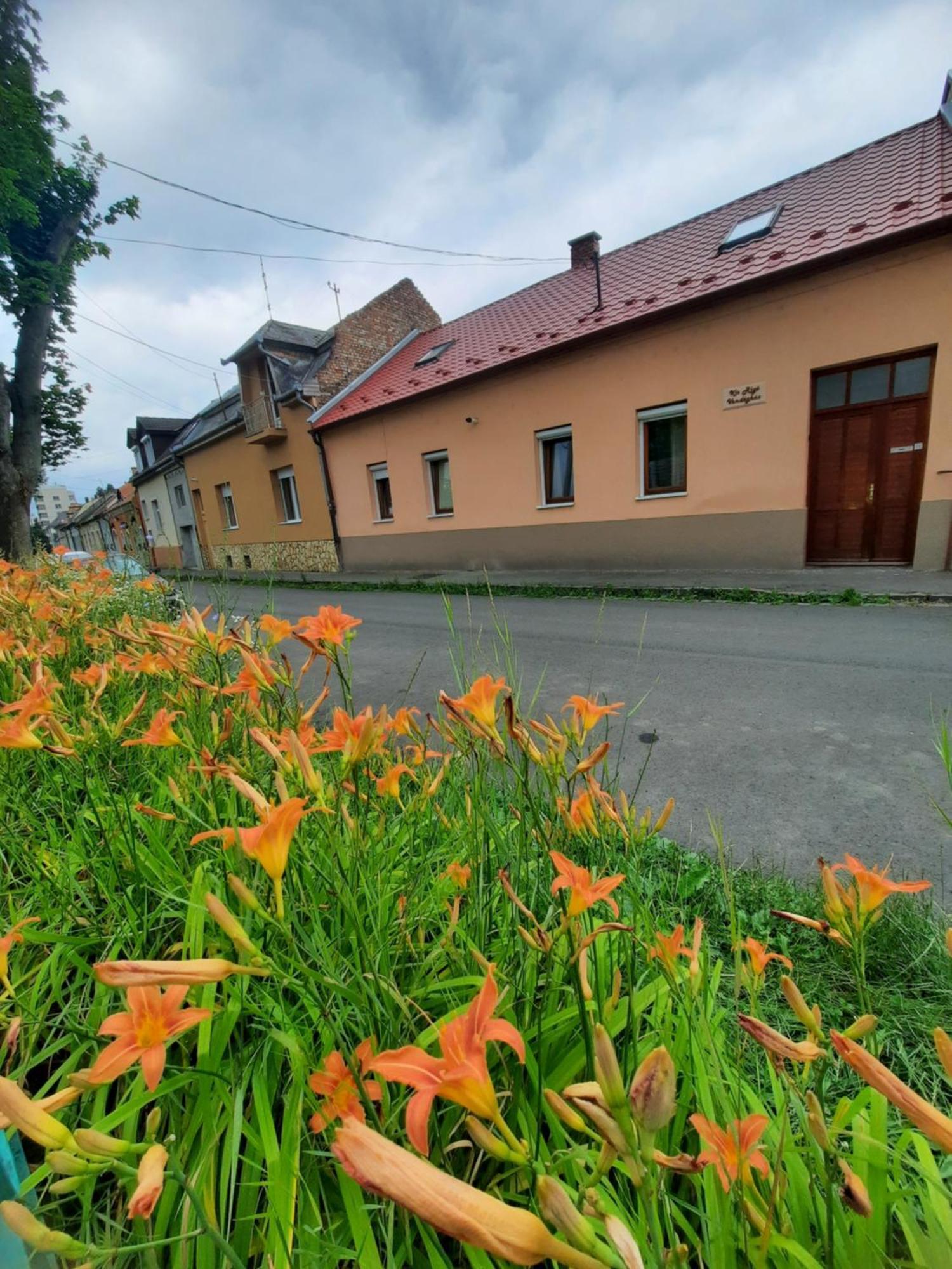 Kis Rigó vendégház Salgotarjan Exterior foto